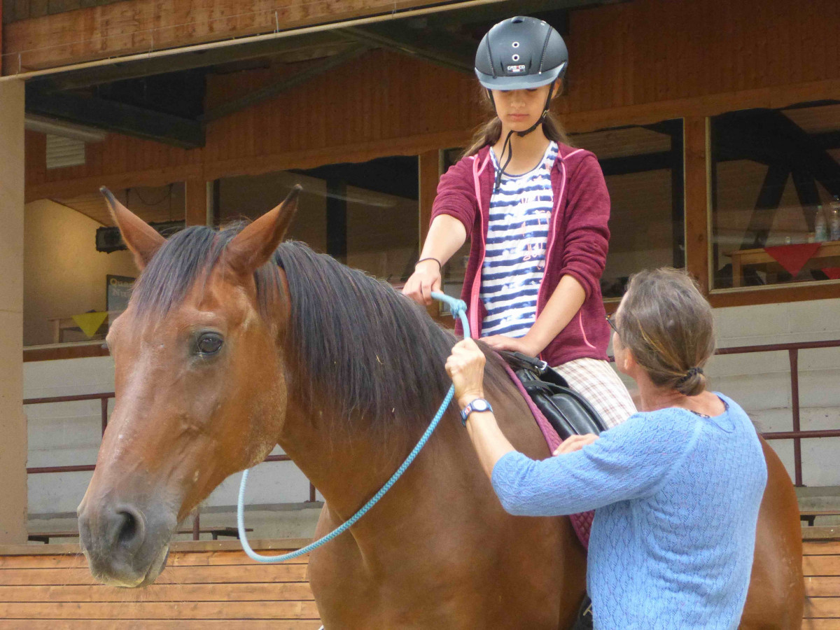 Tiergestützt-Weiterbildung für Erwachsene